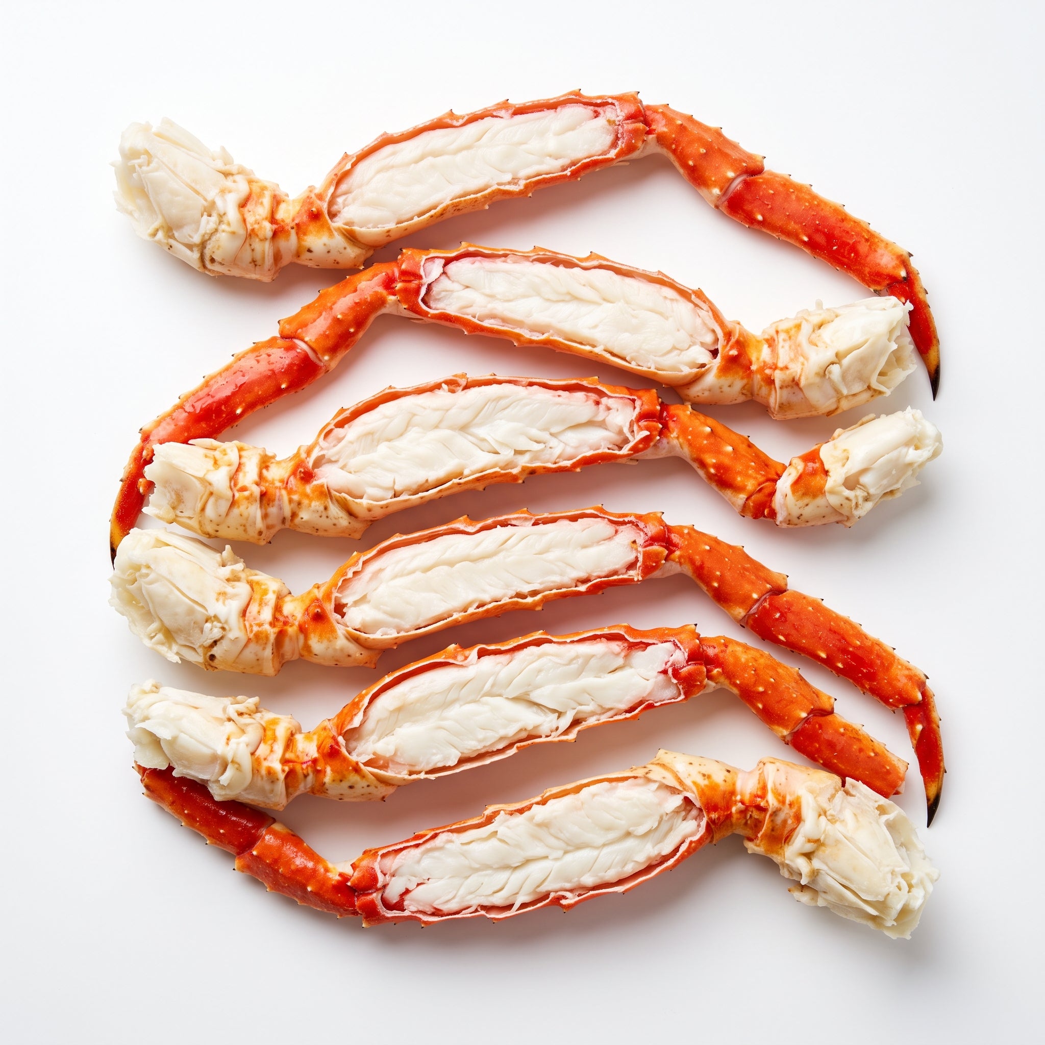 Low Frost Premium Ocean Gourmet Box For Grill & Steam